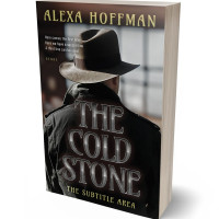 Tablet view of Delta #28593 - Premade Action & Adventure Book Cover