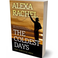 3D view of Premade Western Book Cover - Copper