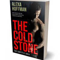 3D view of Premade Erotica Book Cover - Cod Gray