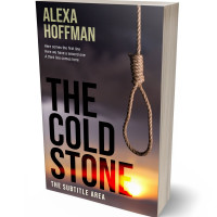 3D view of Premade Mystery & Thriller & Suspense Book Cover - Thunder