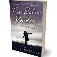 3D view of Premade Teen & Young Adult Book Cover - Blackcurrant