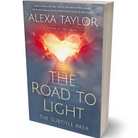 Tablet view of Dolphin #28933 - Premade Religion & Spirituality Book Cover