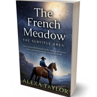 Tablet view of Charade #28995 - Premade Action & Adventure Book Cover