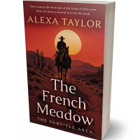 3D view of Premade Action & Adventure Book Cover - Cocoa Bean