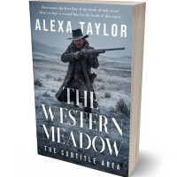 3D view of Premade Action & Adventure Book Cover - Pale Sky