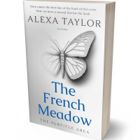 3D view of Premade Self-Improvement & Self-Help Book Cover - Iron