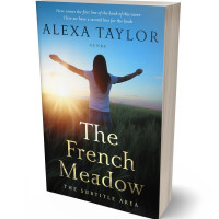 Tablet view of Sisal #29002 - Premade Self-Improvement & Self-Help Book Cover