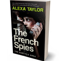 3D view of Premade Mystery & Thriller & Suspense Book Cover - Cod Gray