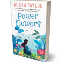 3D view of Premade Literary Fiction Book Cover - Boston Blue