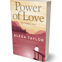 Tablet view of Pancho #29077 - Premade Literary Fiction Book Cover