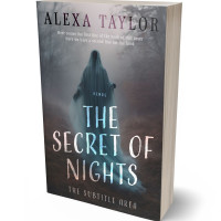 3D view of Abbey #29086 - Premade Abstract Book Cover