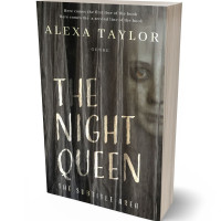 3D view of Merlin #29094 - Premade Business Book Cover | BookCoverZone