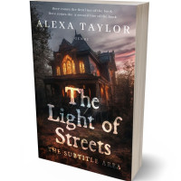 3D view of Cocoa Brown #29096 - Premade Horror Book Cover