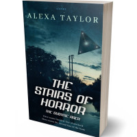 3D view of Premade Science Fiction Book Cover - Firefly