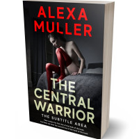 3D view of Premade Erotica Book Cover - Thunder