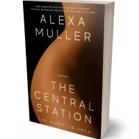 Tablet view of Cannon Black #29158 - Premade Erotica Book Cover