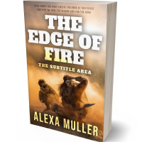 3D view of Premade Apocalyptica Book Cover - Driftwood