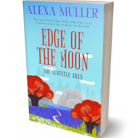 3D view of Premade Fantasy Book Cover - Seagull