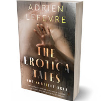 3D view of Premade Erotica Book Cover - Mondo