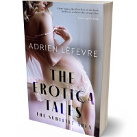 3D view of Premade Erotica Book Cover - Chatelle