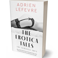 3D view of Premade Erotica Book Cover - Gallery