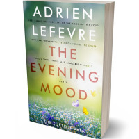 3D view of Premade Nature Book Cover - Schist