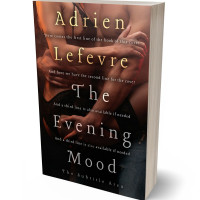 Tablet view of Night Rider #29351 - Premade Erotica Book Cover