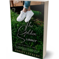 3D view of Premade Teen & Young Adult Book Cover - Silk