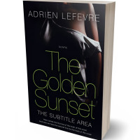 3D view of Premade Erotica Book Cover - Cinder