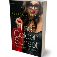 3D view of Premade Business Book Cover - Contessa