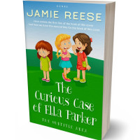 3D view of Premade Teen & Young Adult Book Cover - La Palma