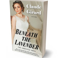 3D view of Premade Romance Book Cover - Heathered Gray