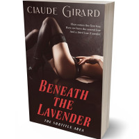 3D view of Premade Erotica Book Cover - Oil