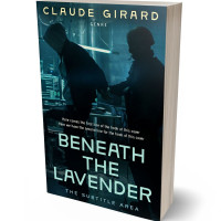 3D view of Premade Mystery & Thriller & Suspense Book Cover - Firefly