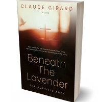 3D view of Premade Religion & Spirituality Book Cover - Crowshead