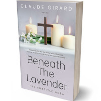 3D view of Premade Religion & Spirituality Book Cover - French Gray