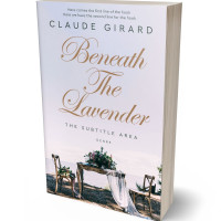 3D view of Premade Romance Book Cover - Mischka