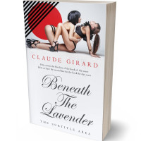 Tablet view of Gallery #29920 - Premade Erotica Book Cover