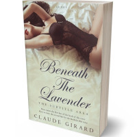 3D view of Premade Erotica Book Cover - Foggy Gray