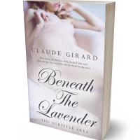 Tablet view of Bon Jour #29925 - Premade Erotica Book Cover