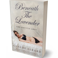 Tablet view of Swirl #29927 - Premade Erotica Book Cover