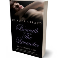 3D view of Premade Erotica Book Cover - Cod Gray