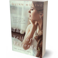 3D view of Premade Romance Book Cover - Foggy Gray