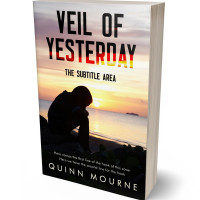 3D view of Premade Teen & Young Adult Book Cover - Grain Brown