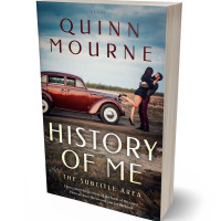 3D view of Premade Erotica Book Cover - Dune