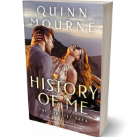 3D view of Premade Romance Book Cover - Sand Dune