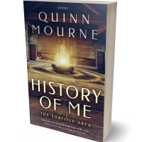 3D view of Premade Religion & Spirituality Book Cover - Blackcurrant