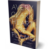 3D view of Premade Erotica Book Cover - Straw