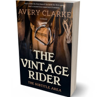 Tablet view of Sorrell Brown #30479 - Premade Travel Book Cover