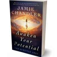 3D view of Premade Religion & Spirituality Book Cover - Tumbleweed